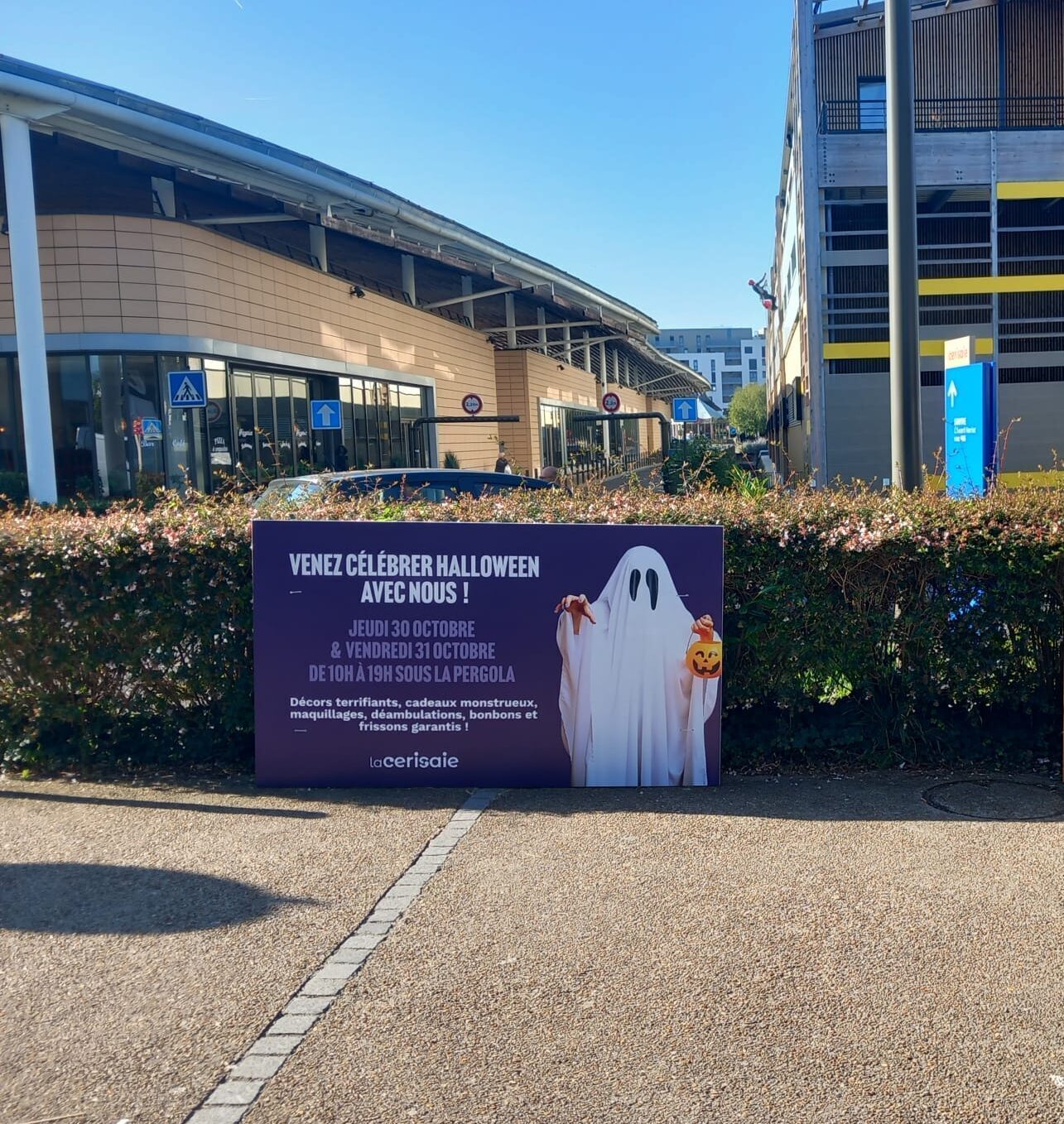 WhatsApp Image 2025-09-29 at 12.05.46