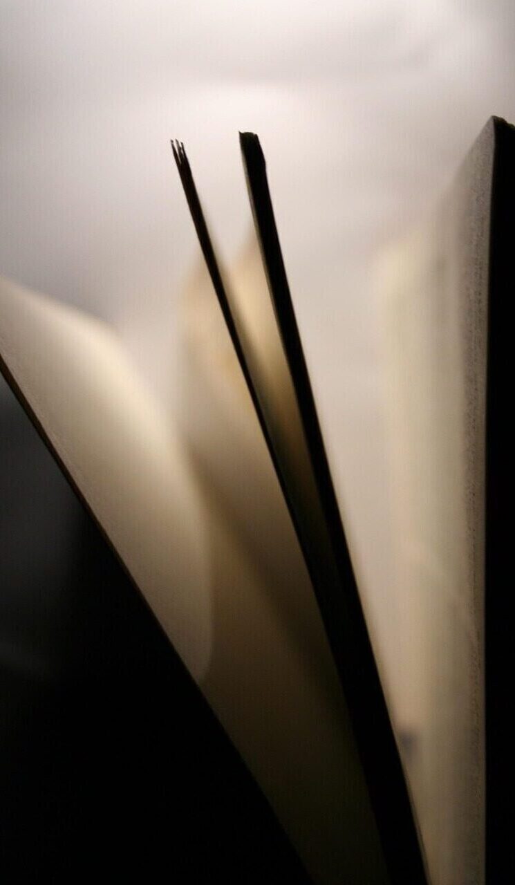 a book, pages, literature, read, paper, book page